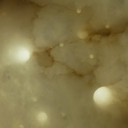 My litle univers 2014, detail tegenlicht, Albast en staal (25x25x4) € 3000